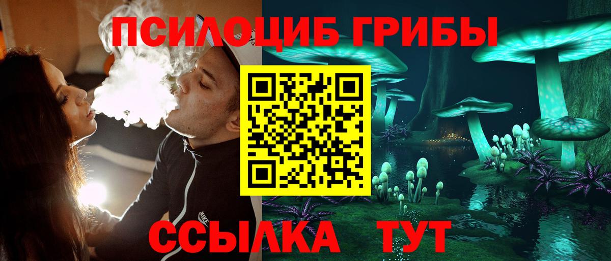 Псилоцибиновые грибы Cubensis  Вход с VPN  Кимовск 